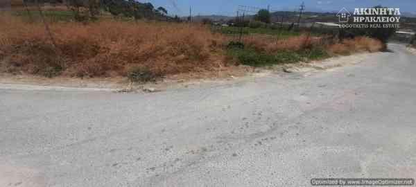 εικόνα_Viber_2025-07-10_14-12-52-674.jpg